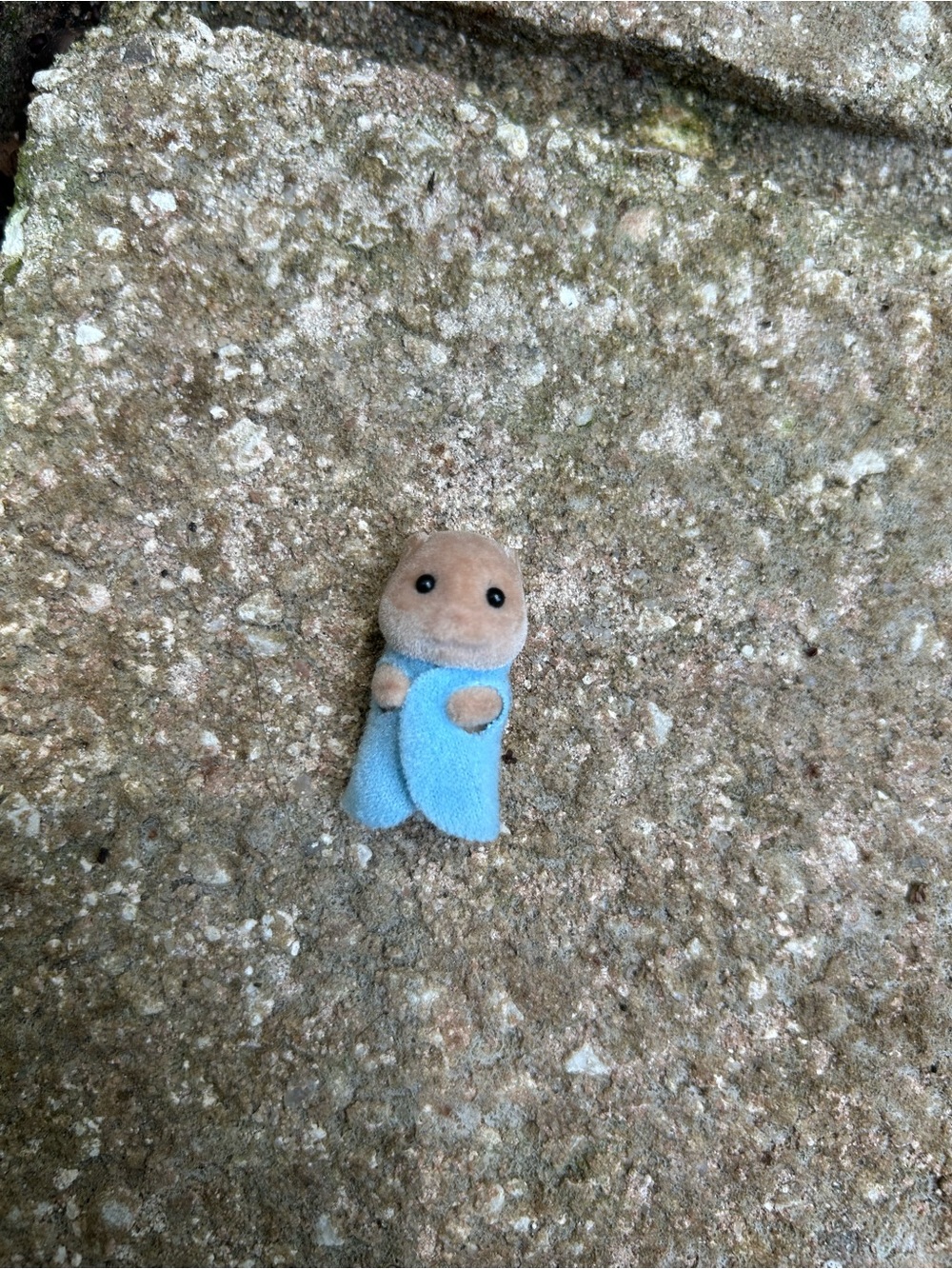 Calico Critters Otter Baby ~